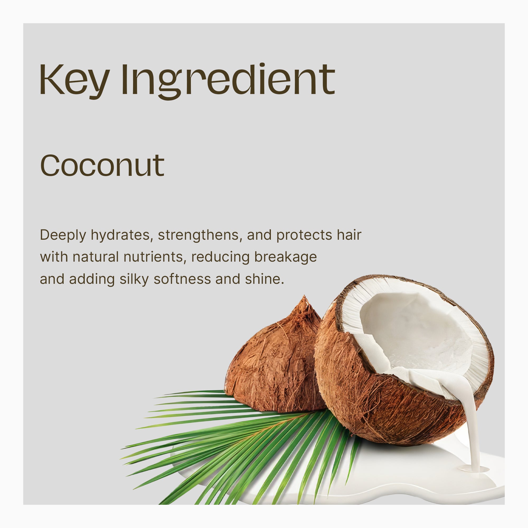 COCONUT OIL SHAMPOO