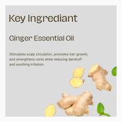 Hair Loss Control Shampoo