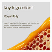 sulfate free shampoo for colored hair